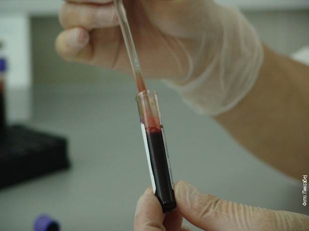 Истраживање у оквиру Српског ДНК пројекта спроводи се тестирањем Y-ДНК хромозома